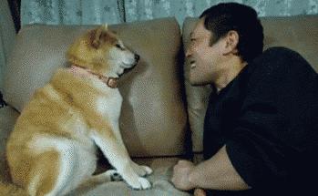 牙齿美白慕斯真的好用吗,牙齿美白慕斯真的好吗