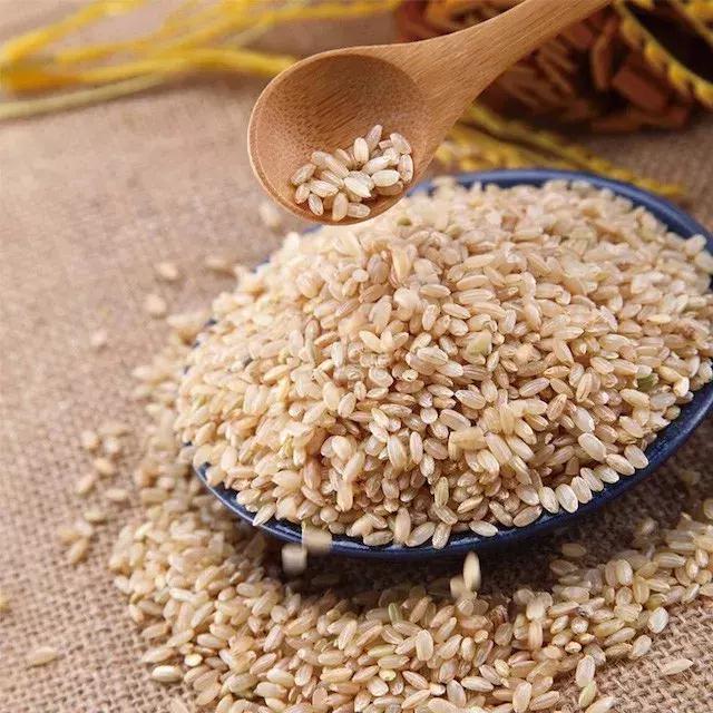 好吃的糙米饭推荐有味道,最好吃的糙米饭