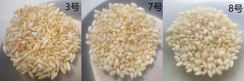 好吃的糙米饭推荐有味道,最好吃的糙米饭