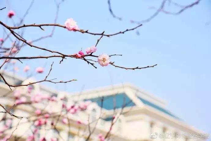 大连市有哪些大学排行榜,大连6所高校