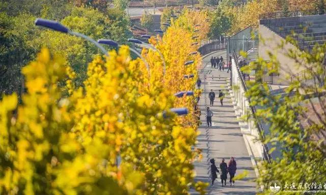 大连市有哪些大学排行榜,大连6所高校