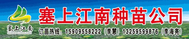 中卫天天网招聘,中卫招聘直播