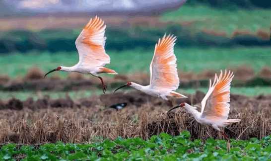 距西安120公里有什么好玩的地方,离西安1.5小时的好玩地方