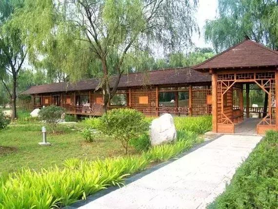 旅游打卡河南最值得去的十个景区,河南必去四大旅游景点