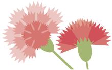 另类家书｜我与我的“戏精”妈妈