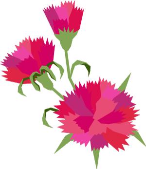 母亲节送花送啥花最合适,母亲节除了送花还能送什么学生党