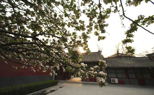 雍和宫的看点有什么,话说北京雍和宫