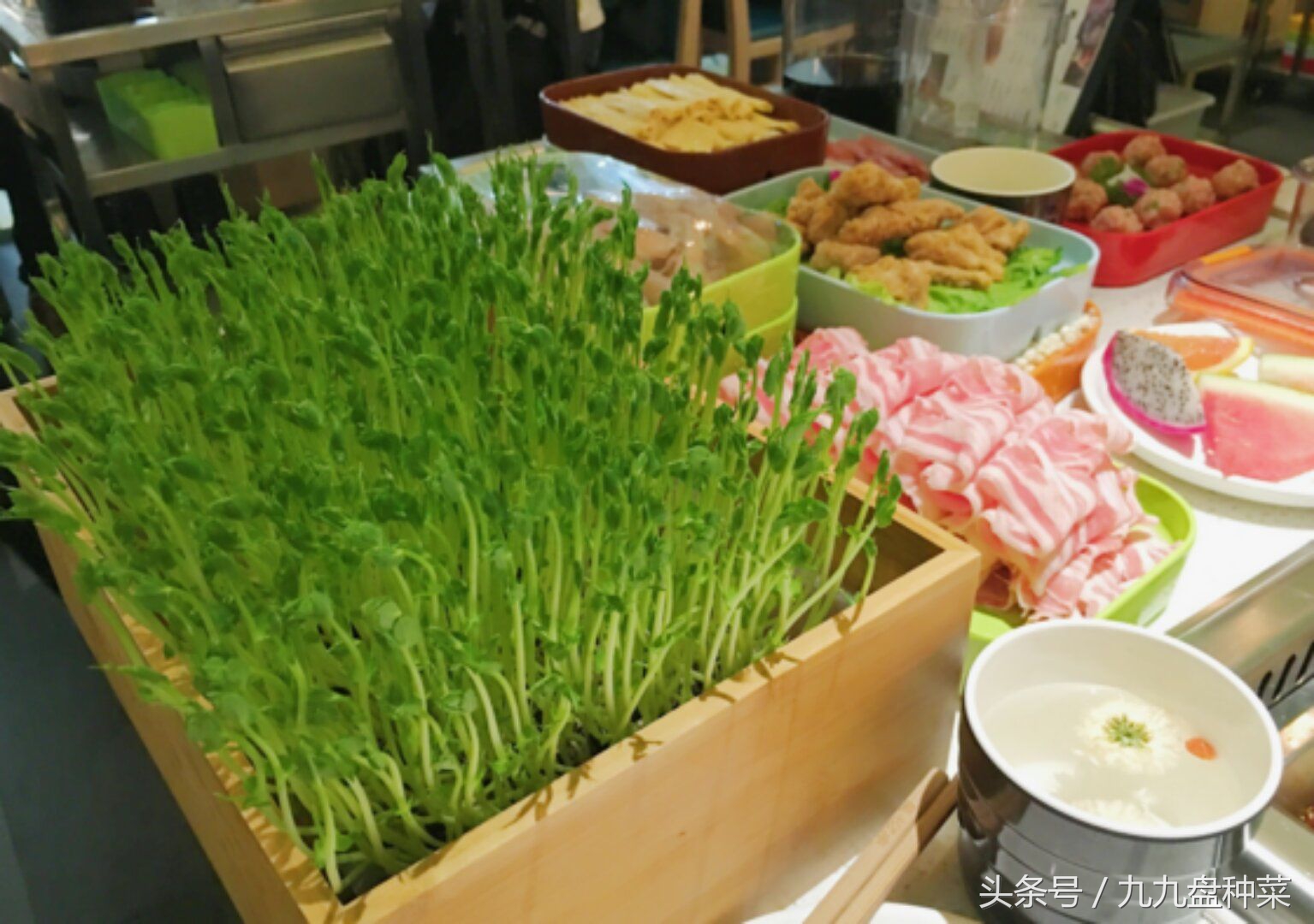 用塑料盒种植芽苗菜,如何用盒子种芽苗菜