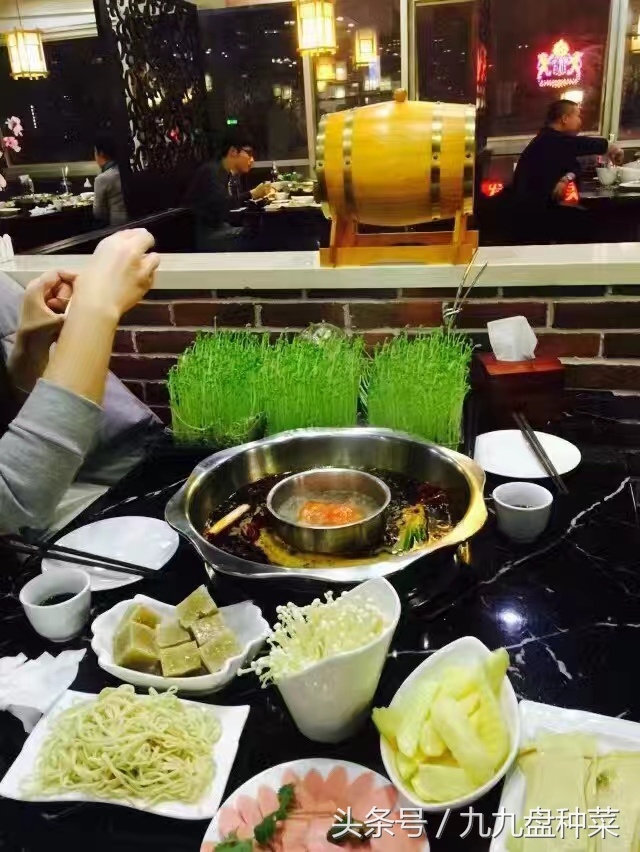 用塑料盒种植芽苗菜,如何用盒子种芽苗菜