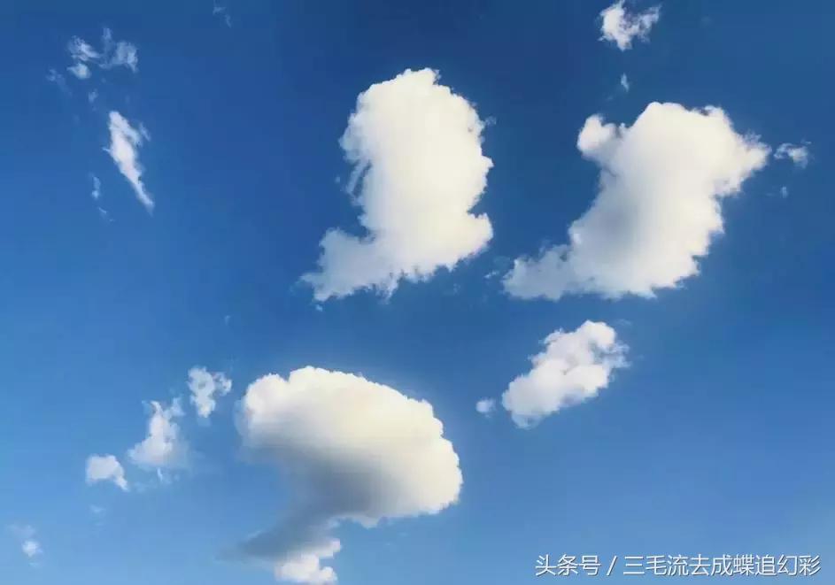 大理5月有什么玩的吃的,五月中旬大理适合旅游吗