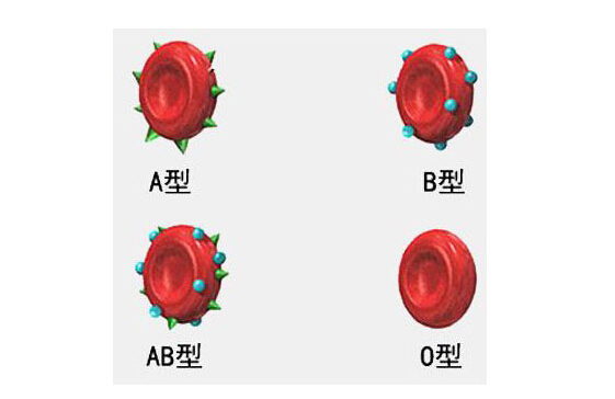 为什么a血型招蚊子叮咬,哪一类型的血型容易被蚊虫叮咬