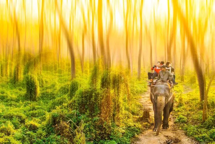 适合暑期去的免签落地签国家,免签落地签旅游推荐