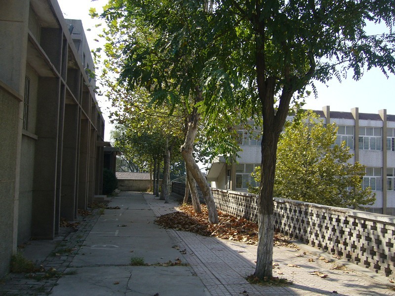 淄博淄矿二中,淄博淄矿第一中学