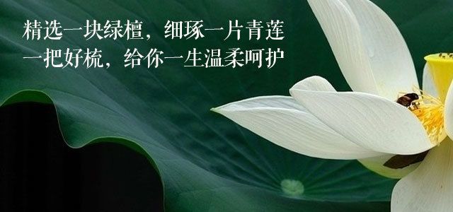 滋养头发的梳子,一把好梳子陪你一辈子