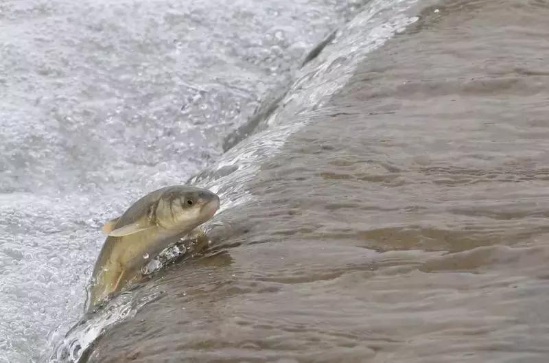 我们为什么要去大西北,为什么要去大西北旅行的理由是啥