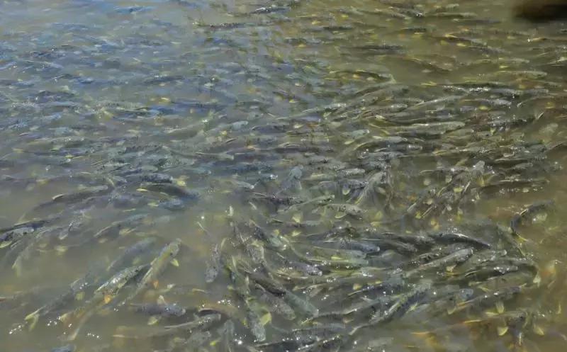 我们为什么要去大西北,为什么要去大西北旅行的理由是啥