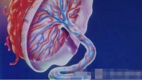 孕晚期胎儿缺氧多长时间会脑损伤,孕晚期胎心弱胎儿缺氧有什么影响