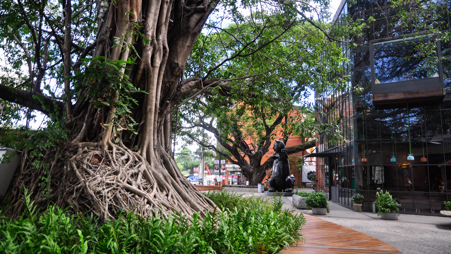 泰国旅游曼谷清迈攻略,泰国清迈的旅游攻略