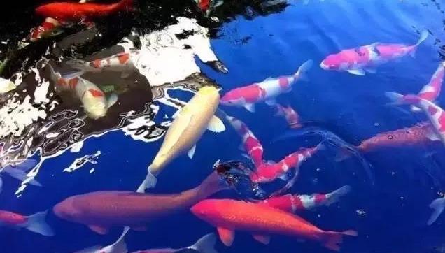 点点滴滴积累知识,点点滴滴积累经验