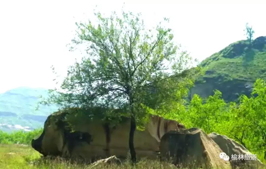 周末去哪玩？榆林周边竟藏着一处原生态秘境，人少景美还免费！