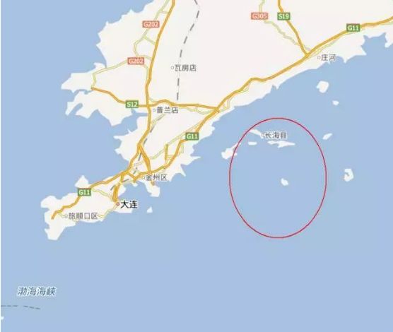 海参价格便宜的猫腻,海参市场的真实现状