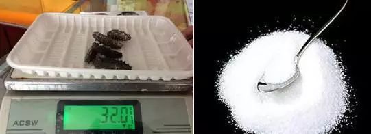 揭秘海参内幕,海参市场的真实现状