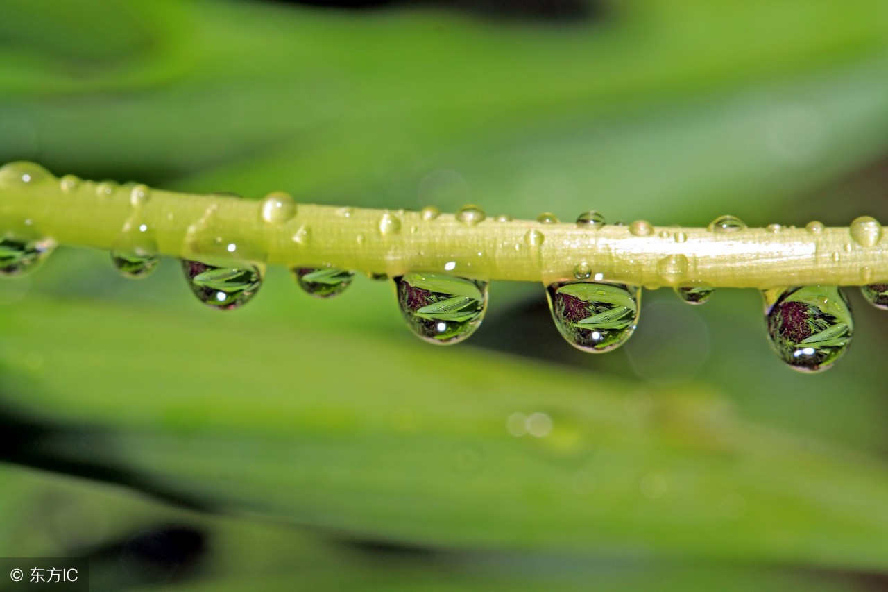夏天的雨惬意,童年的雨趣