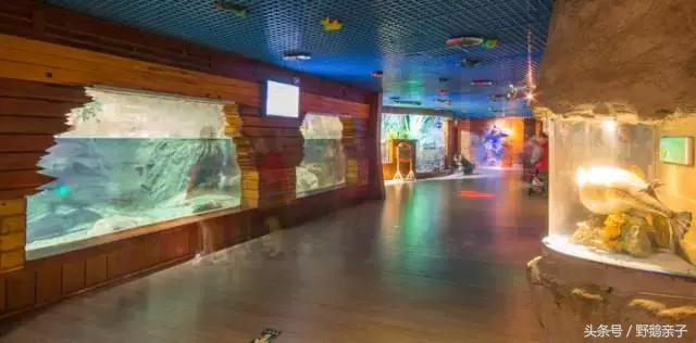 太平洋海底世界带孩子游玩,亲子游海洋世界打卡