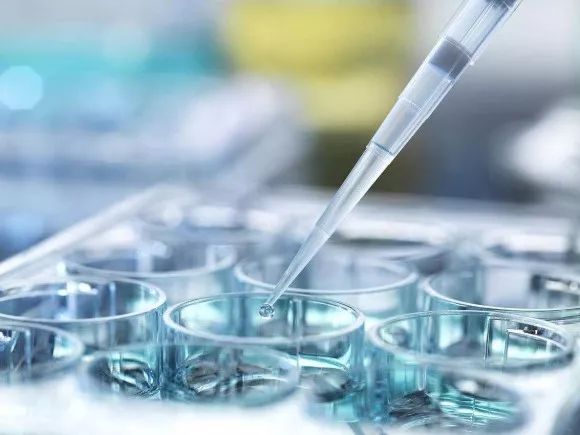 林志玲冻卵子有用吗,徐静蕾冻卵能生孩子吗