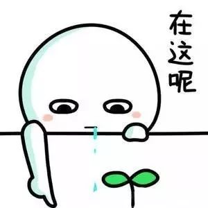 林志玲冻卵子有用吗,徐静蕾冻卵能生孩子吗