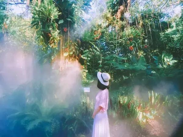 厦门旅游攻略3天2晚自由行本地游,厦门旅游攻略3天2晚自由行亲子