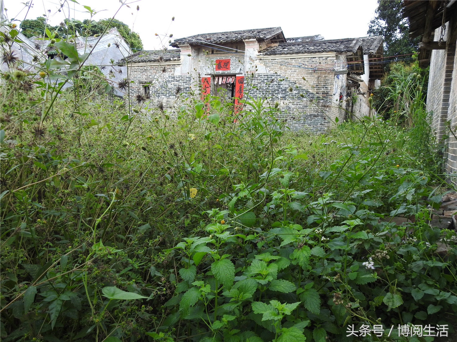 郁南历史建筑,郁南县大湾古民居建筑群