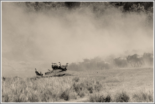 佳能5d270-200教程,佳能5d2单反操作及摄影完全攻略