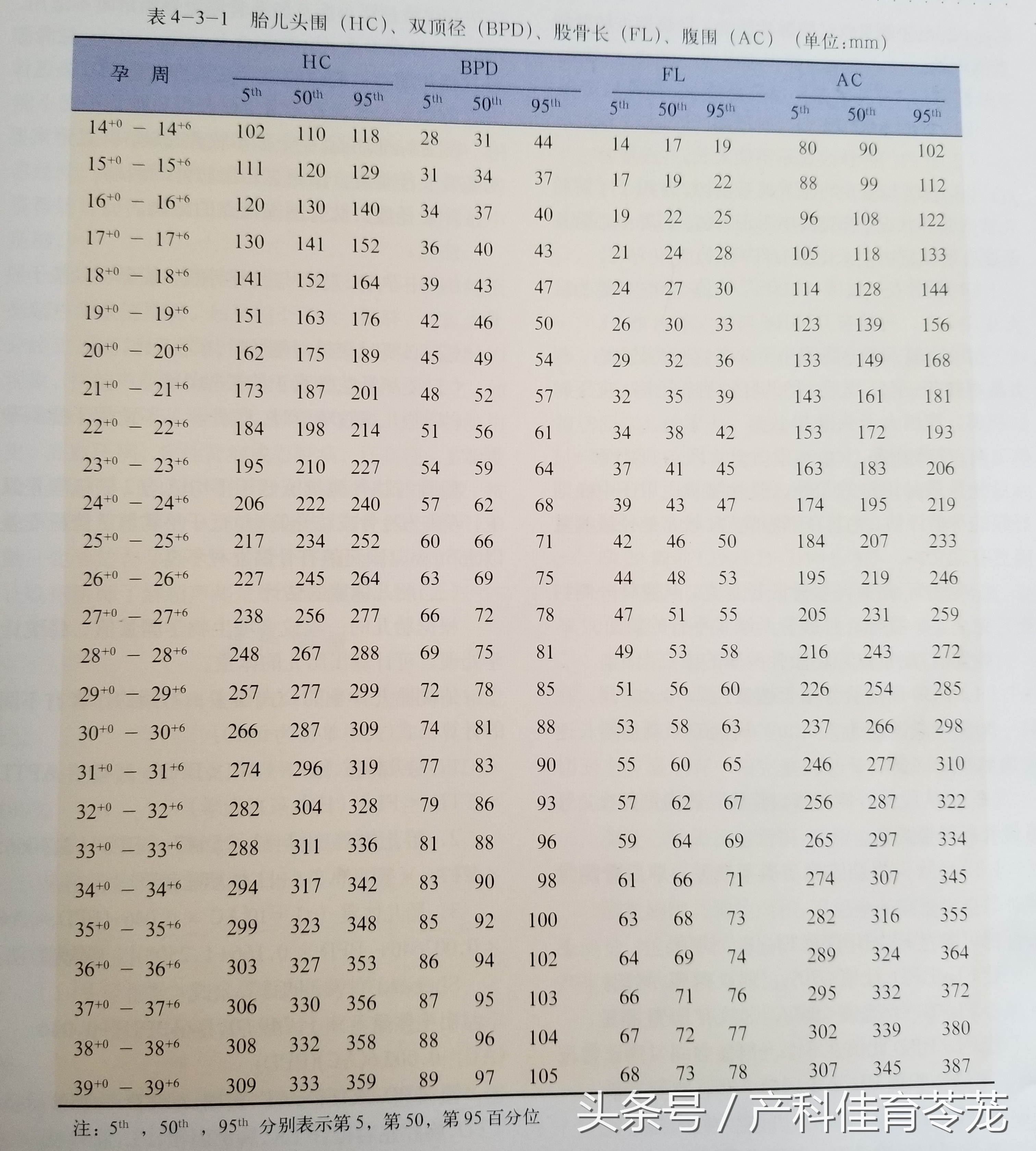 如何看懂乳腺超声检查报告,怎么能让临床医生看懂超声报告