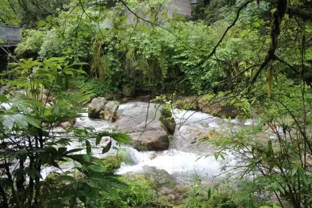 四川青城山景区免票,四川对浙江省免票的旅游景区