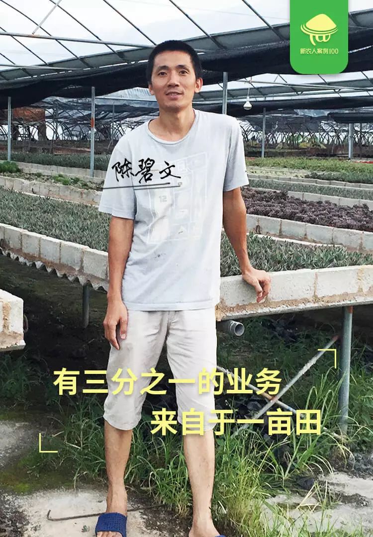 卖多肉植物实体店赚钱么,多肉植物买卖赚钱吗