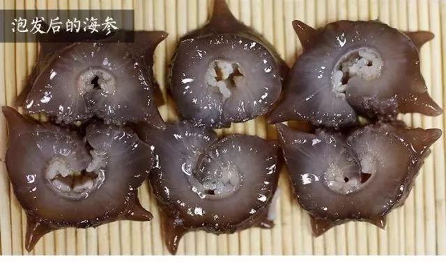 海参价格便宜的猫腻,海参市场的真实现状