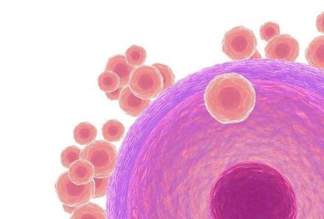 排卵后身体有何感觉预示着床,排卵后女性的身体反应有哪些