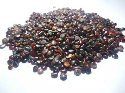 家中常备这汤解酒应该很管用,解酒食疗药膳和解酒粥来帮你