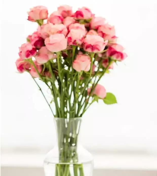 天热驱蚊虫方法,天气热如何消灭蚊子