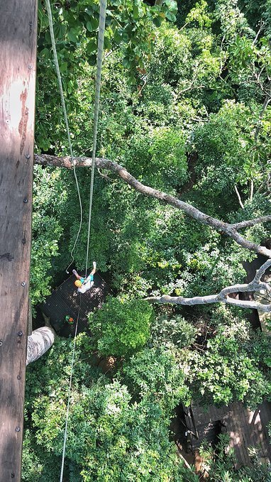 4月泰国泼水节攻略,芭提雅旅游数据泼水节