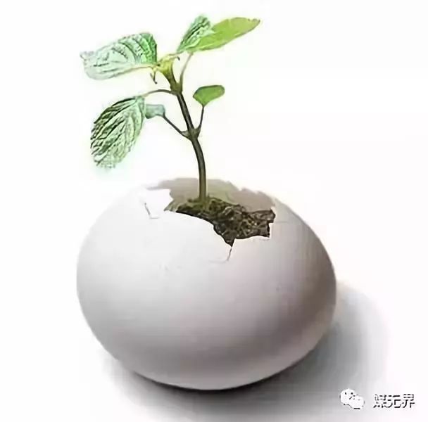 新媒体运营和品牌传播,新媒体时代品牌营销