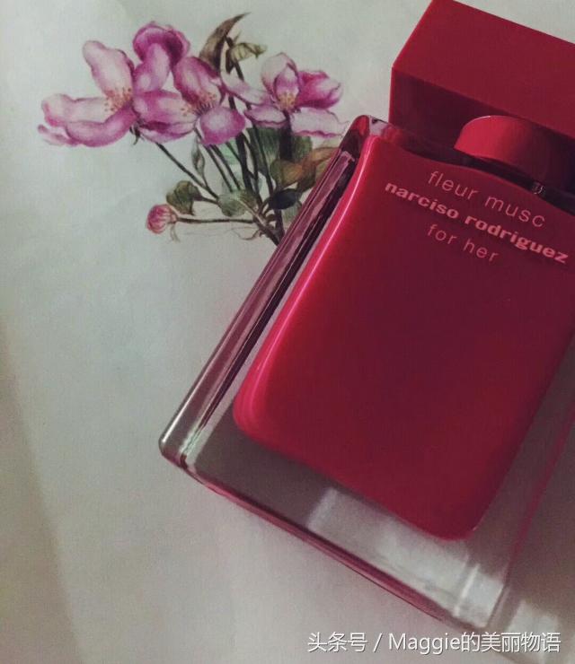 maggie鐨勭編涓界墿璇皬绋嬪簭,maggie鐨勭編涓界墿璇皬绾功