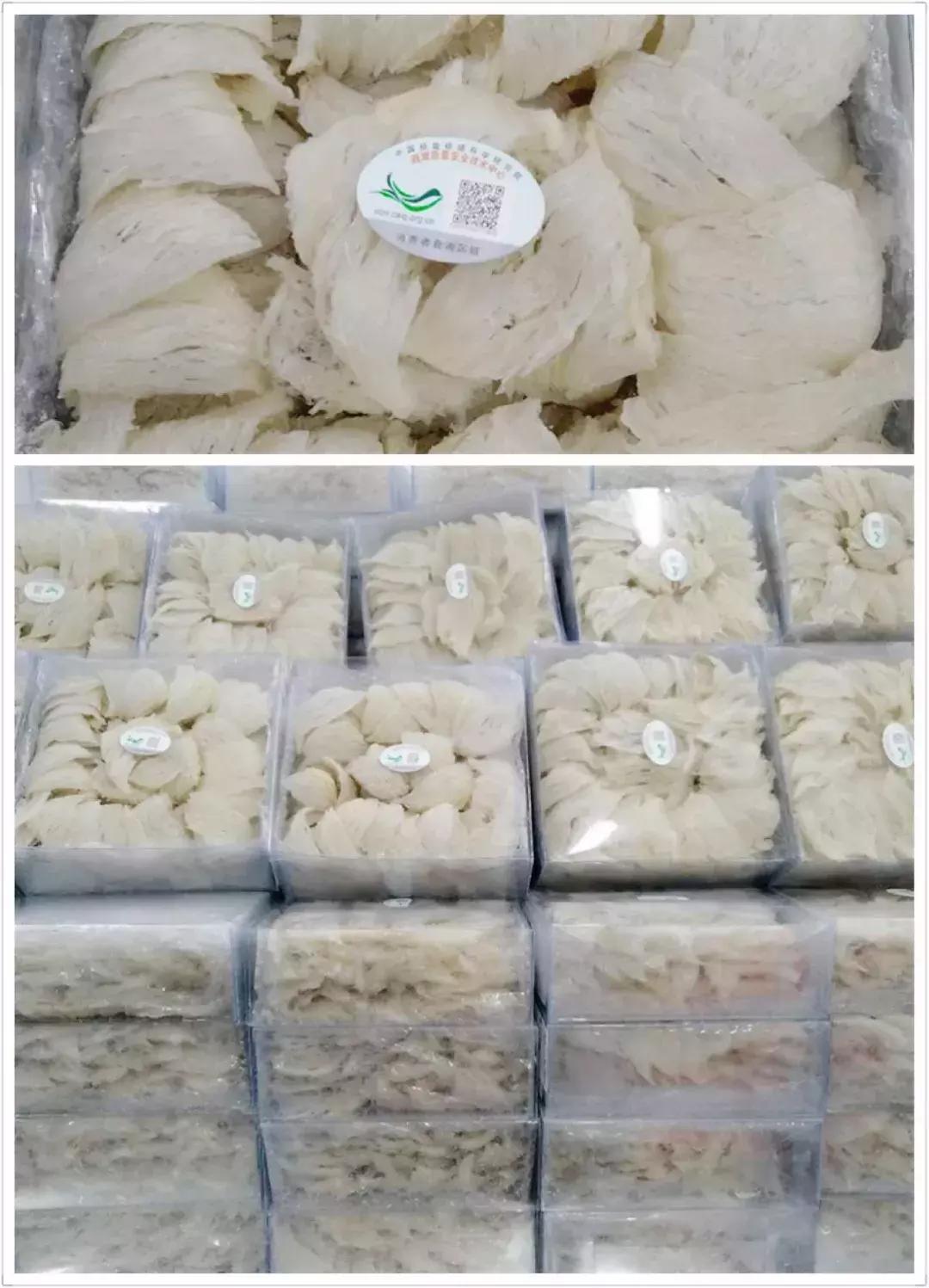 燕窝原料讲解平台,燕窝用什么品种燕窝做