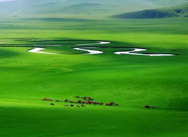 呼伦贝尔自驾游团购,呼伦贝尔团游4天3晚团购