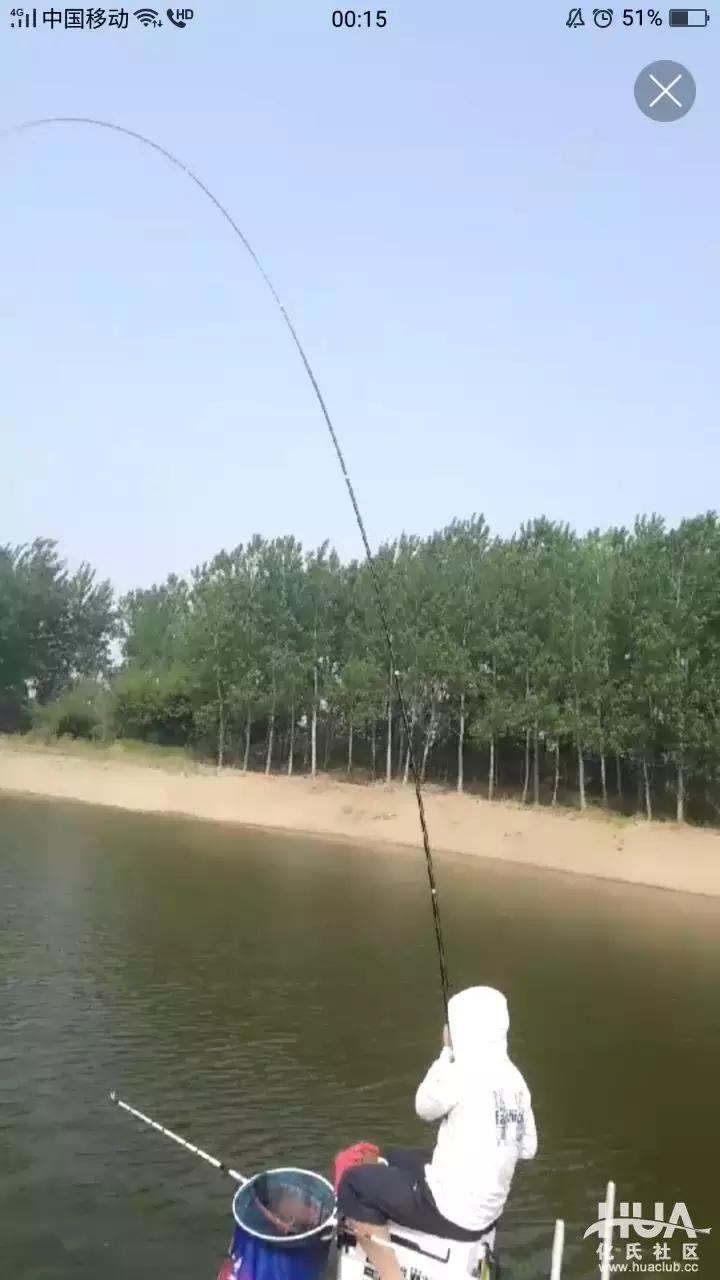 龙纹鲤大鲫大鲤测评,化氏龙纹鲤四代8米1的钓竿多少钱