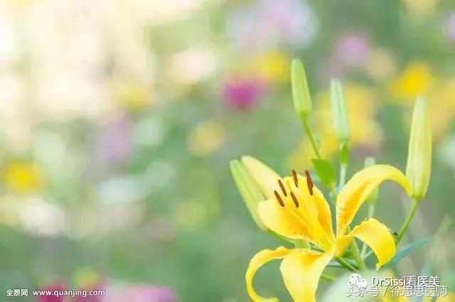 专业去除各种斑痘,专治脸上各种斑各种痘