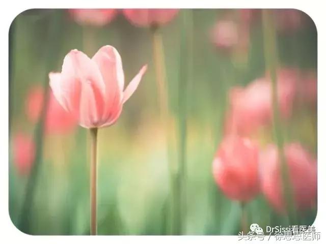 专业去除各种斑痘,专治脸上各种斑各种痘