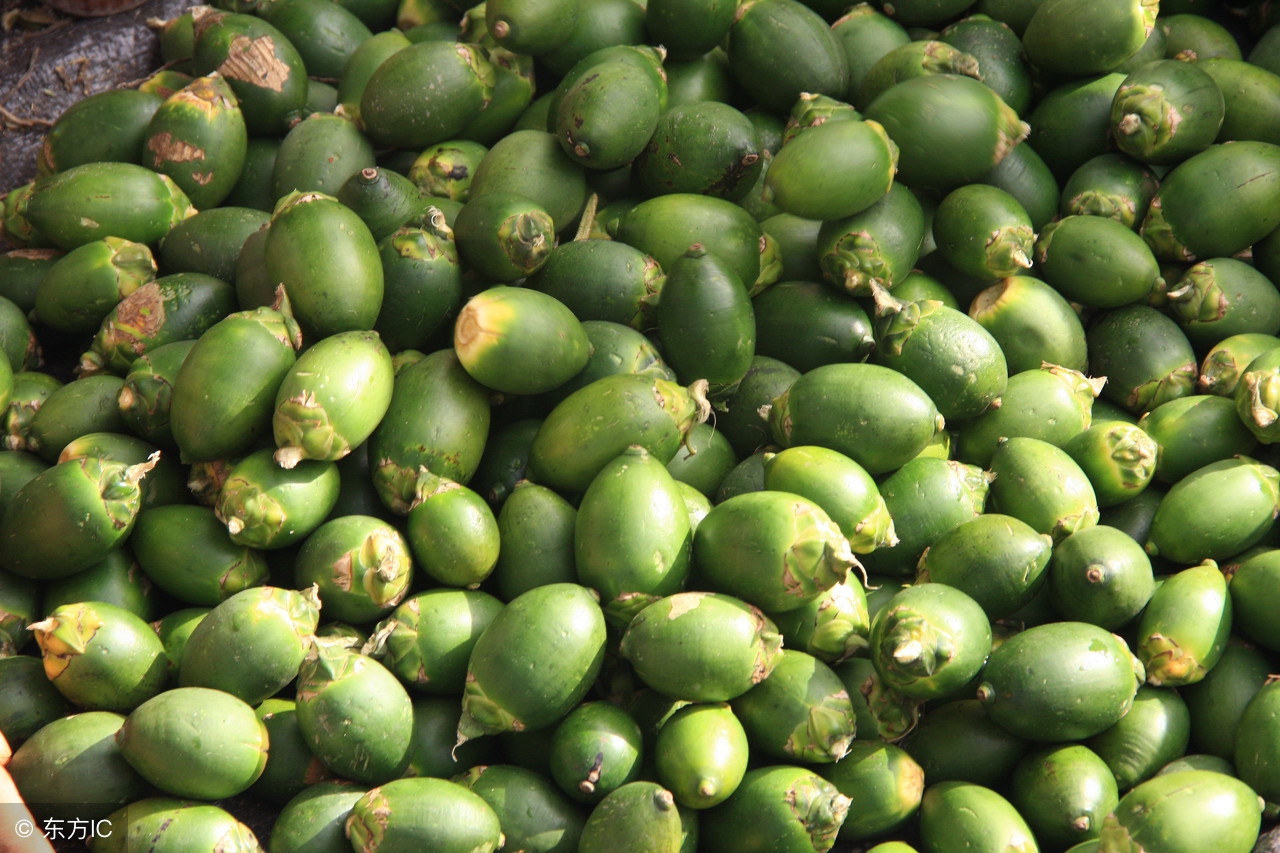 长期大量食用槟榔有哪些危害,湘农壹品槟榔有什么坏处