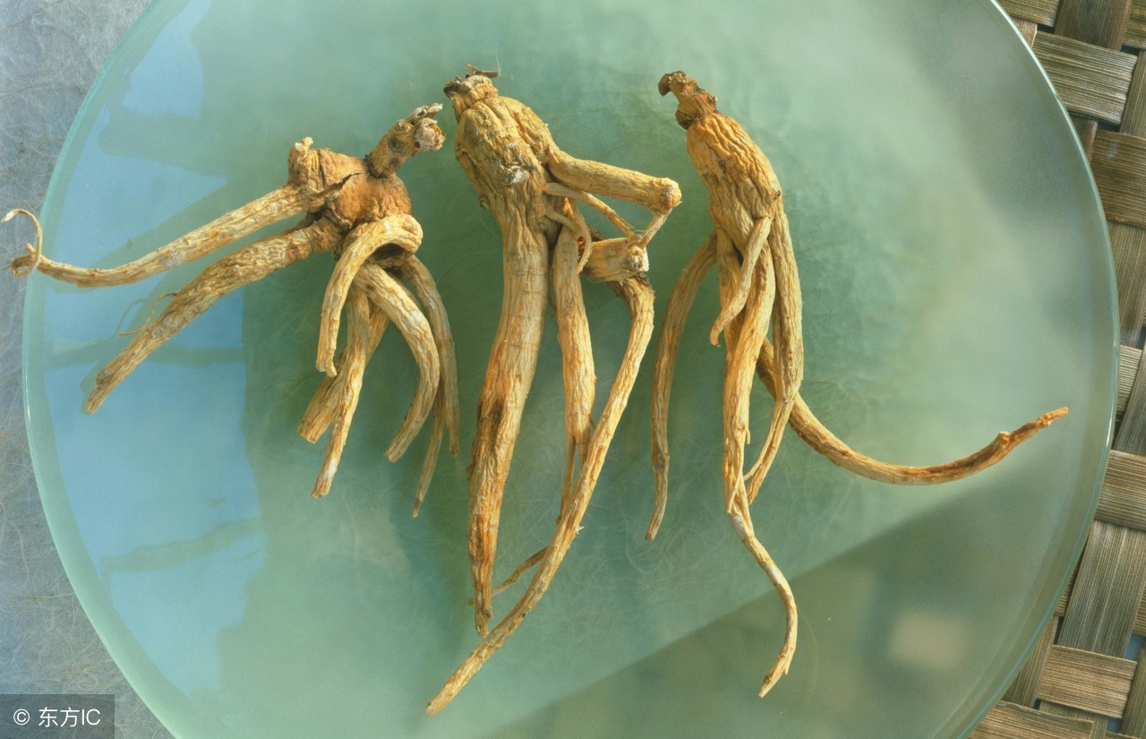 西洋参功效和作用有哪些,西洋参黄芪枸杞泡水的功效与禁忌